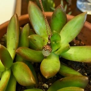 Handmade Rose Quartz Necklace!